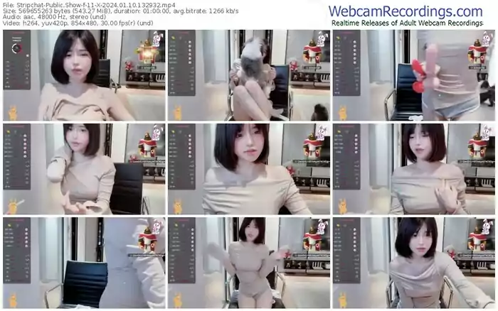 stripchat-11-x-01-10-2024-13-29-32