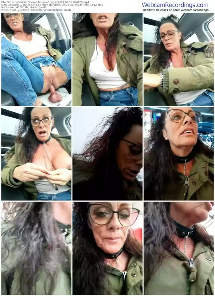 stripchat-misses-cougar-01-11-2024-08-48-09