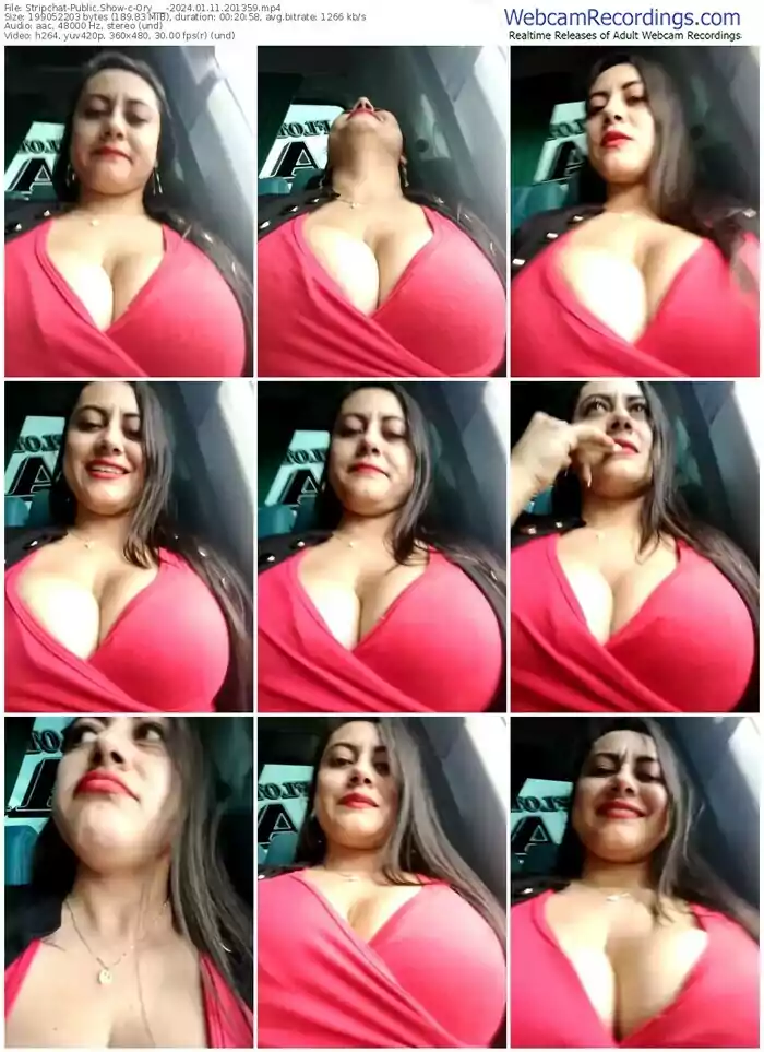 stripchat-ory___-01-11-2024-20-13-59