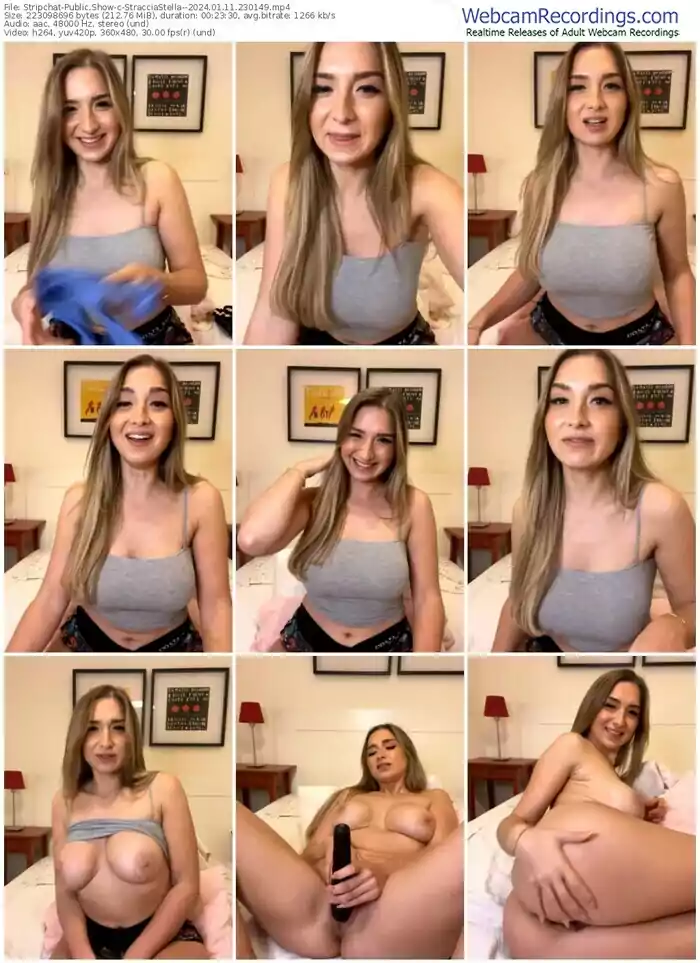 stripchat-stracciastella--01-11-2024-23-01-49