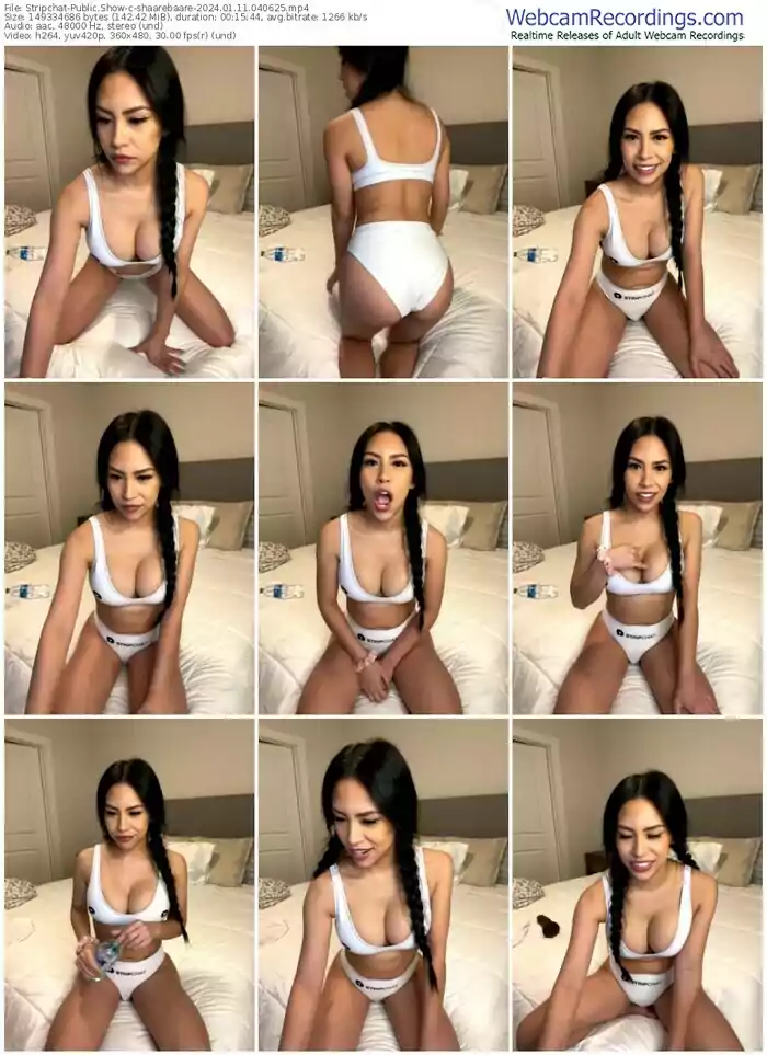 stripchat-shaarebaare-01-11-2024-04-06-25