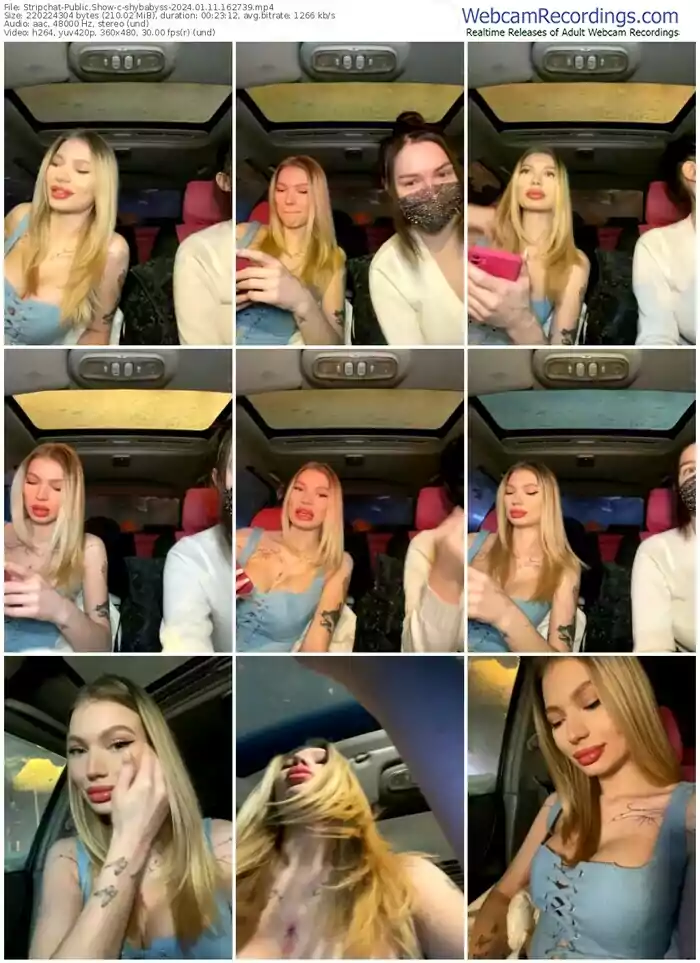 stripchat-shybabyss-01-11-2024-16-27-39