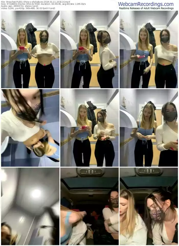 stripchat-shybabyss-01-11-2024-20-31-16