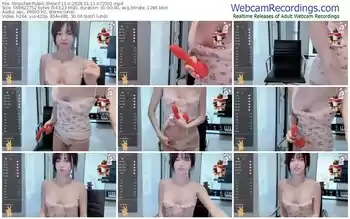 stripchat-11-x-01-11-2024-07-23-01