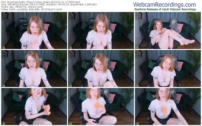 stripchat-chloe_blake-01-11-2024-17-33-09