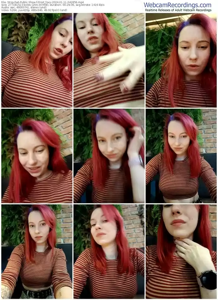 stripchat-frost_foxy-01-11-2024-04-28-56