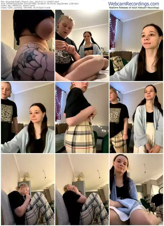 stripchat-_des_-01-11-2024-14-46-57