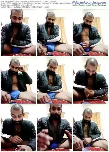 stripchat-_vaziel-01-11-2024-16-41-18