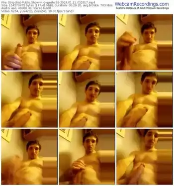 stripchat-bigjoshc88-01-11-2024-03-29-17