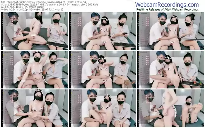 stripchat-fanciee_laviee-01-12-2024-06-17-31
