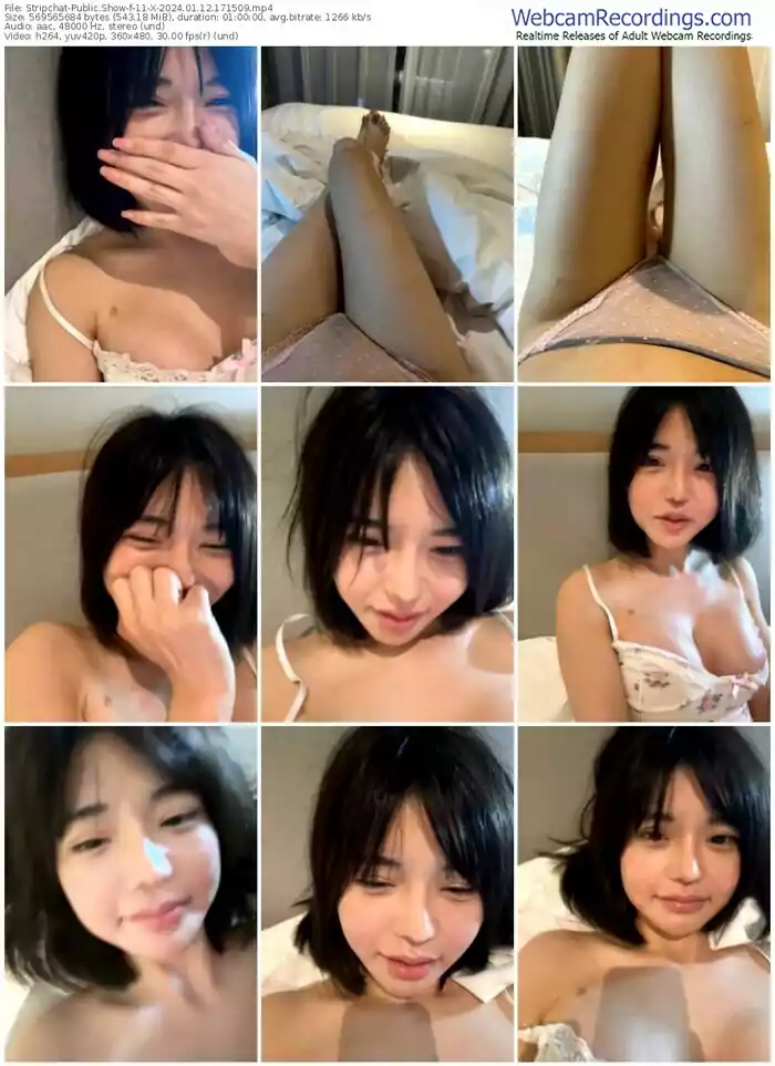 stripchat-11-x-01-12-2024-17-15-09