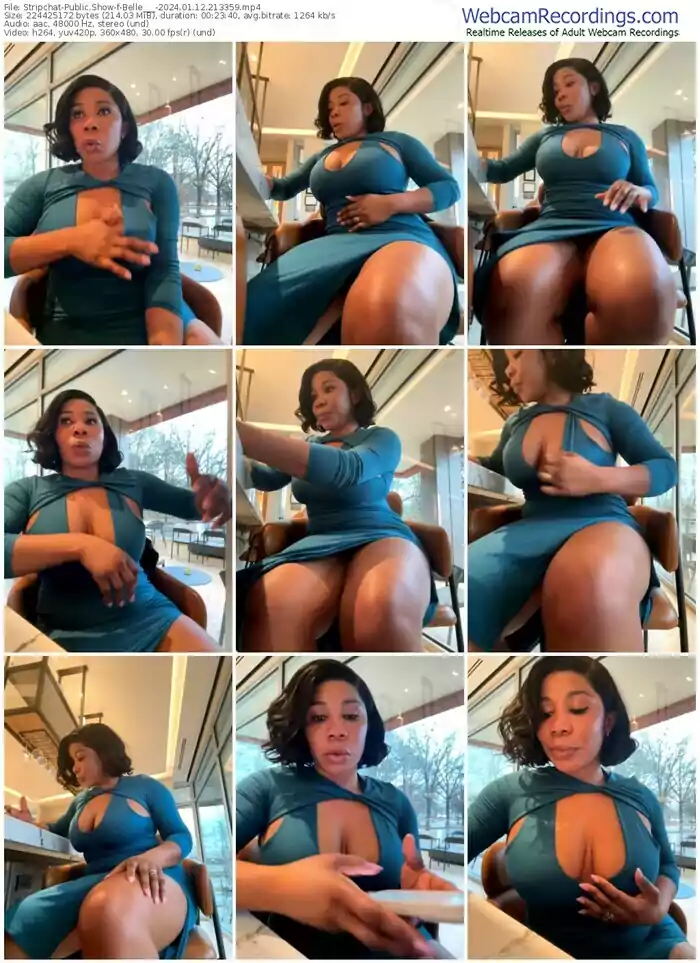 stripchat-belle___-01-12-2024-21-33-59