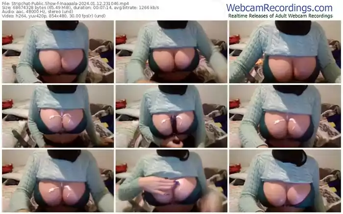 stripchat-inaaaala-01-12-2024-23-10-46