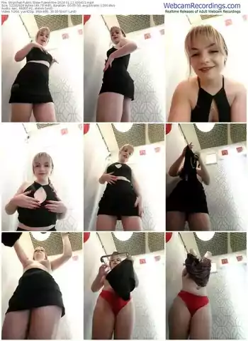 stripchat-janevibe-01-12-2024-03-34-11