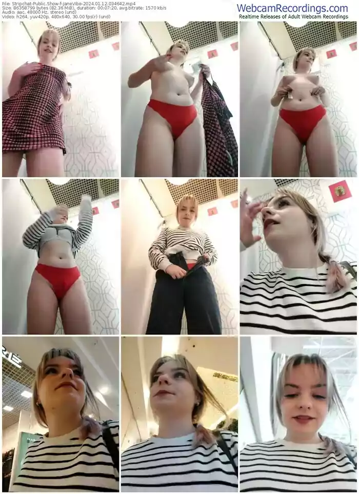 stripchat-janevibe-01-12-2024-03-46-42