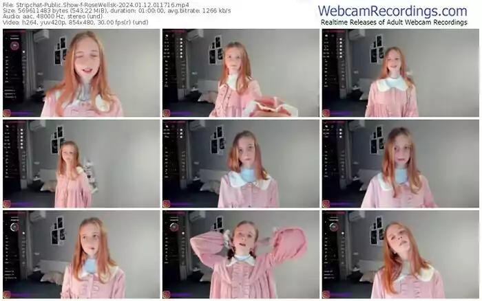 stripchat-rosewellsk-01-12-2024-01-17-16