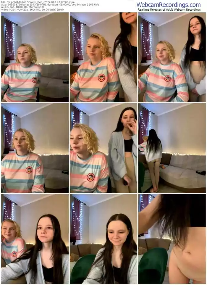 stripchat-_des_-01-12-2024-13-25-03