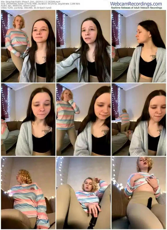 stripchat-_des_-01-12-2024-14-25-49