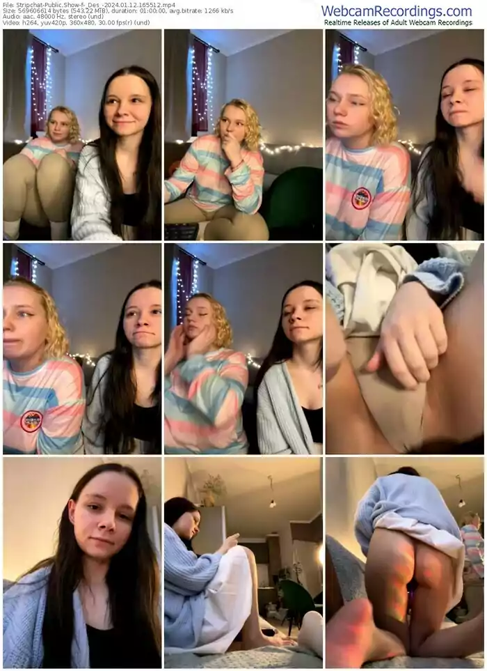 stripchat-_des_-01-12-2024-16-55-12