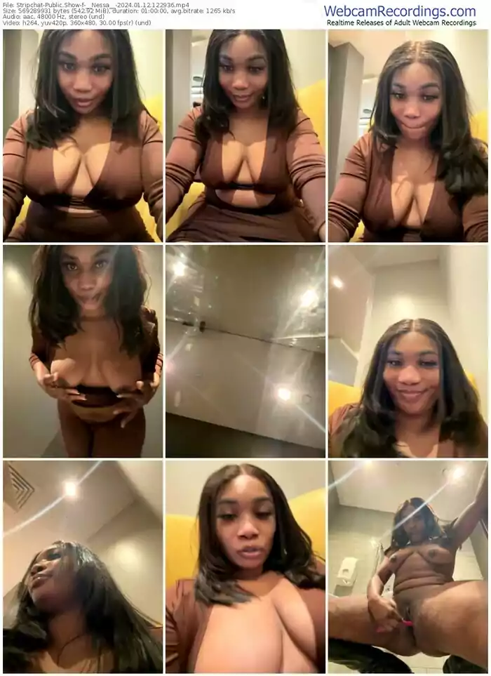 stripchat-__nessa__-01-12-2024-12-29-36