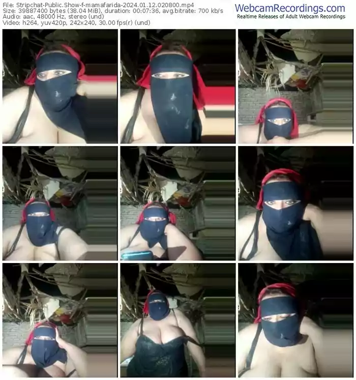 stripchat-mamafarida-01-12-2024-02-08-00