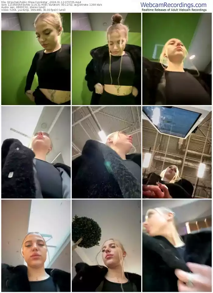 stripchat-pinkstar_-01-12-2024-07-37-05