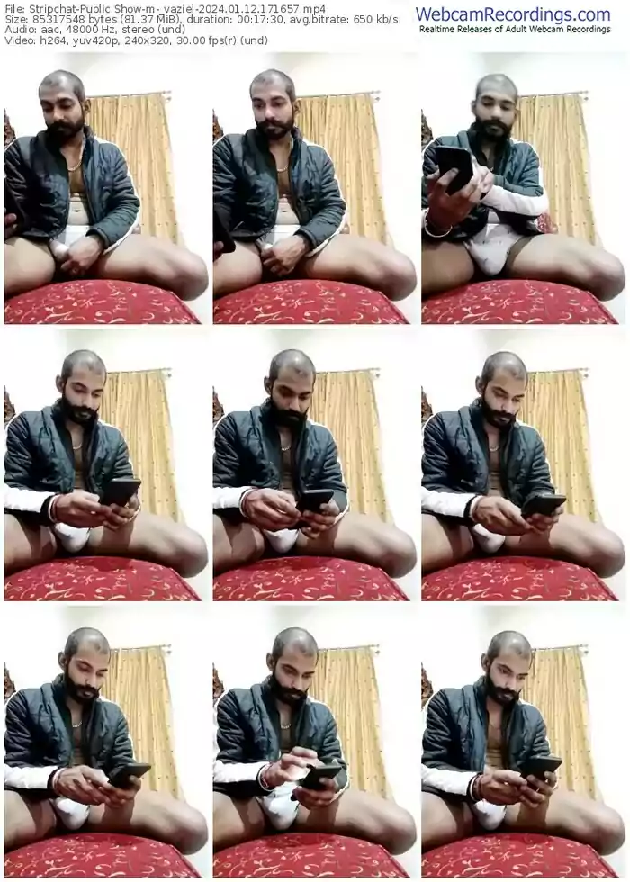 stripchat-_vaziel-01-12-2024-17-16-57