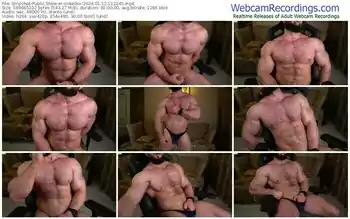 stripchat-mike0xx-01-12-2024-11-22-45