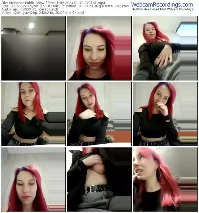 stripchat-frost_foxy-01-13-2024-02-01-41