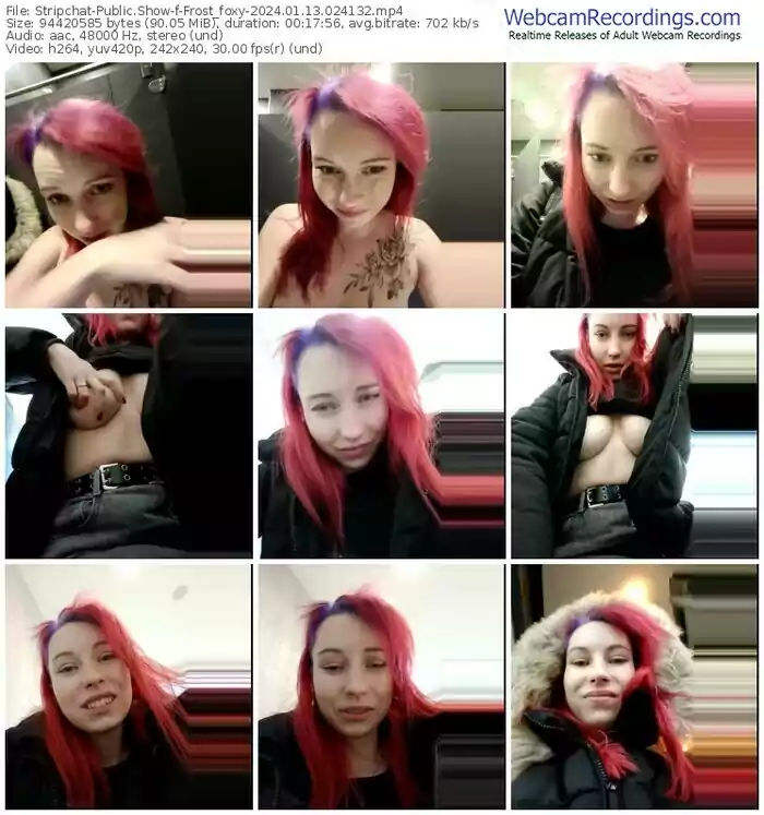 stripchat-frost_foxy-01-13-2024-02-41-32