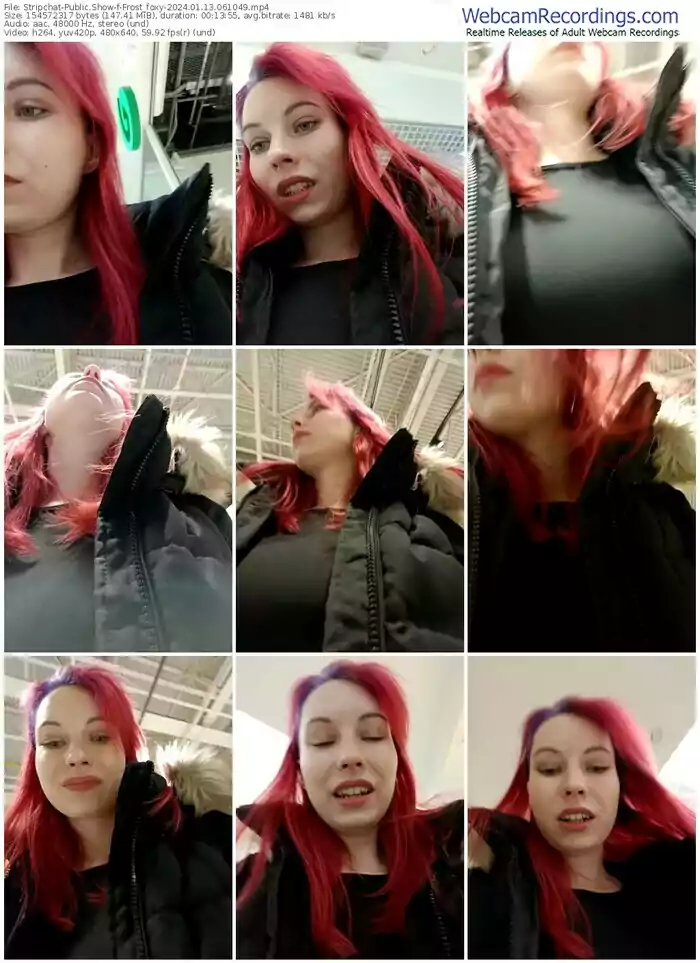 stripchat-frost_foxy-01-13-2024-06-10-49