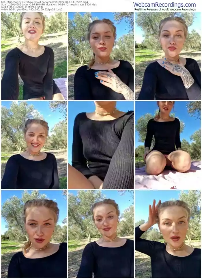 stripchat-goldloeckchen159-01-13-2024-11-55-32