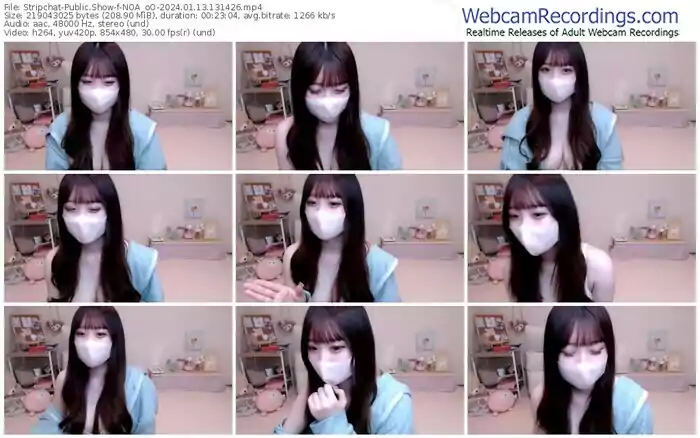 stripchat-noa_oo-01-13-2024-13-14-26