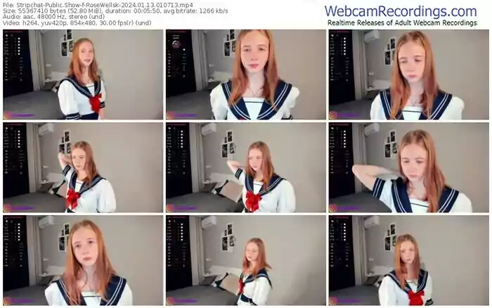 stripchat-rosewellsk-01-13-2024-01-07-13