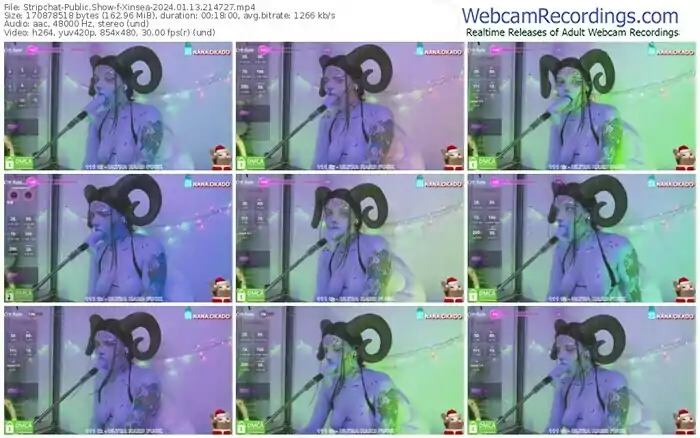 stripchat-xinsea-01-13-2024-21-47-27