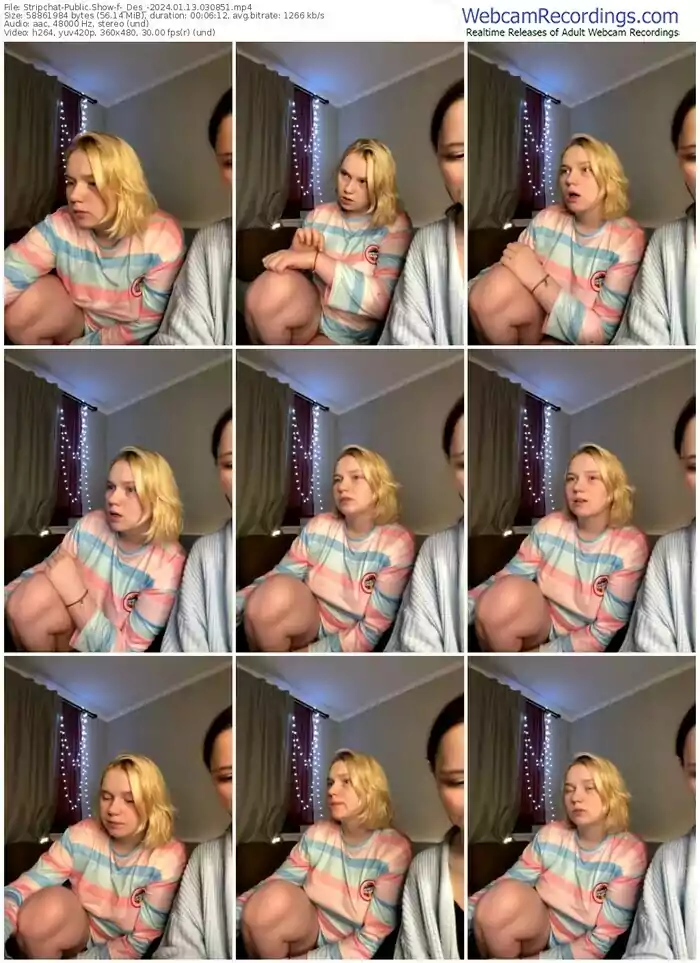 stripchat-_des_-01-13-2024-03-08-51