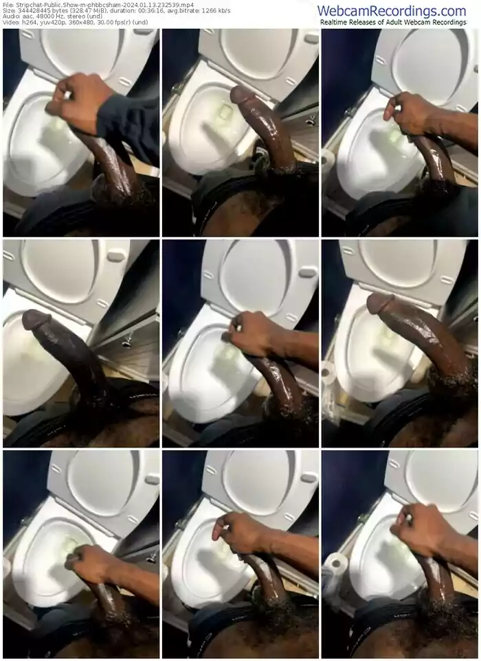 stripchat-phbbcsham-01-13-2024-23-25-39