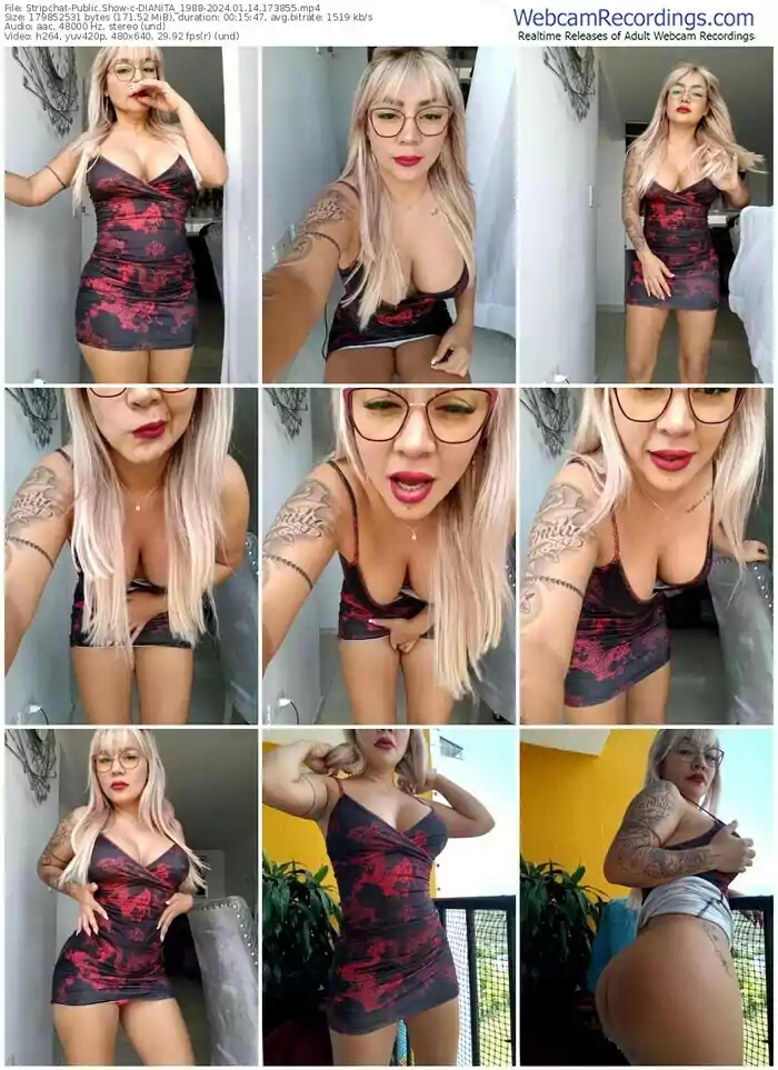 stripchat-dianita_1988-01-14-2024-17-38-55