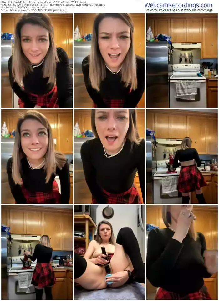 stripchat-ladylena1-01-14-2024-17-08-34