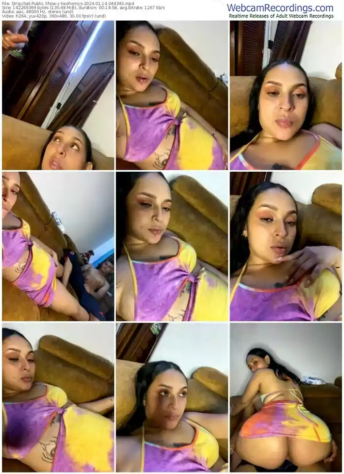 stripchat-twohornys-01-14-2024-04-43-40