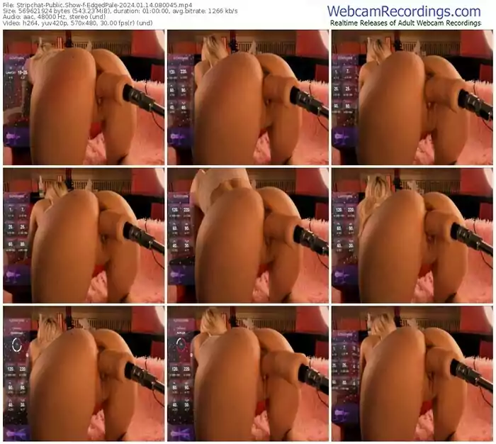 stripchat-edgedpale-01-14-2024-08-00-45