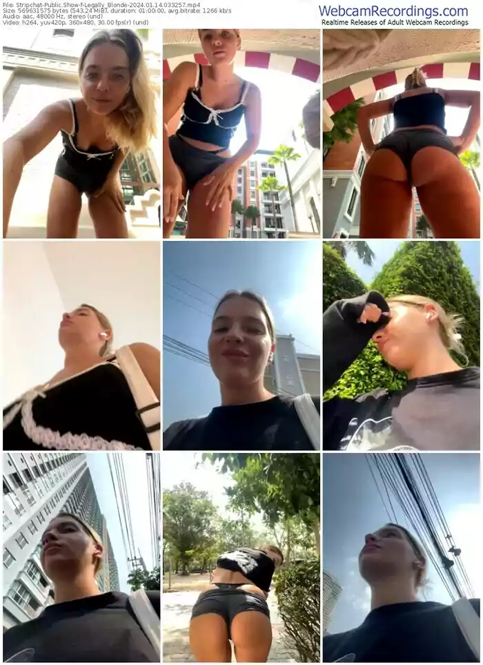 stripchat-legally_blonde-01-14-2024-03-32-57