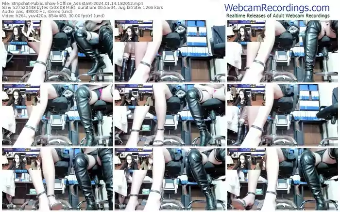 stripchat-office_assistant-01-14-2024-18-20-52