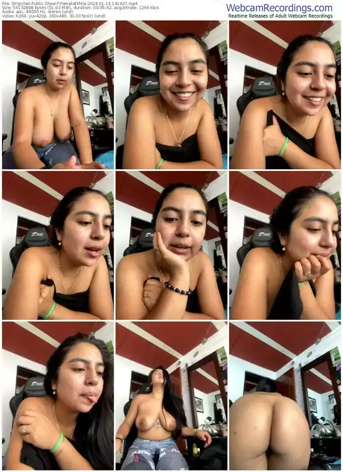 stripchat-pamelaftmia-01-14-2024-14-14-07