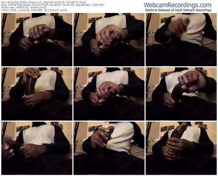 stripchat-lil_dog428-01-14-2024-04-07-17