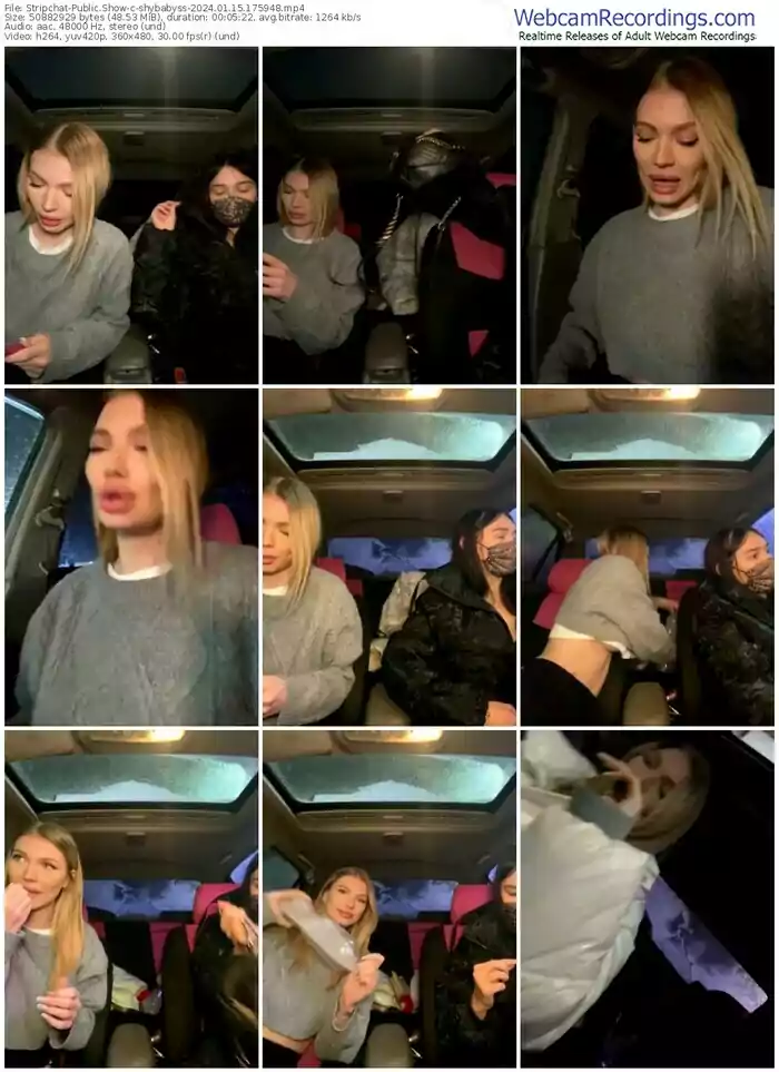 stripchat-shybabyss-01-15-2024-17-59-48