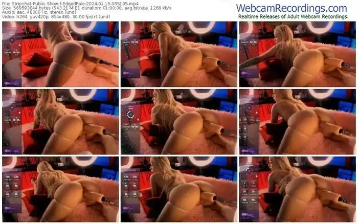 stripchat-edgedpale-01-15-2024-08-51-05