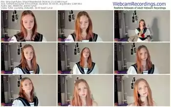 stripchat-rosewellsk-01-15-2024-01-08-03