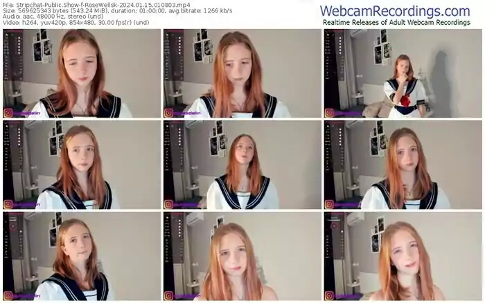 stripchat-rosewellsk-01-15-2024-01-08-03