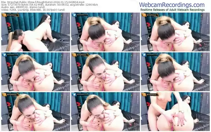 stripchat-roughslutsx-01-15-2024-04-28-04